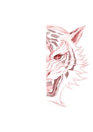 Half Tiger head sketch 