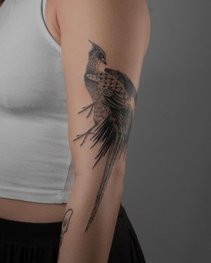Experience the beauty of a realistic blackwork peacock design by FKM TATTOO, gracefully adorning your upper arm with intricate illustrative details.