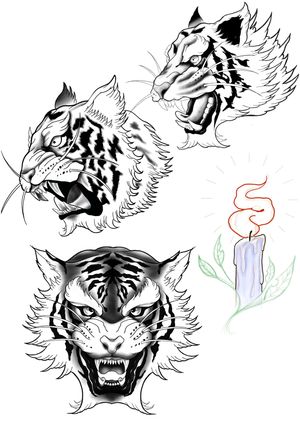 Tiger heads