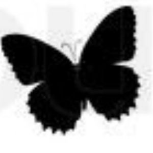 Looking to get small butterfly tattoo on left wrist