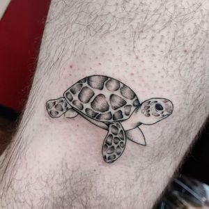 Experience the beauty of black and gray dotwork with this fine-line turtle design by talented artist Mary Shalla.