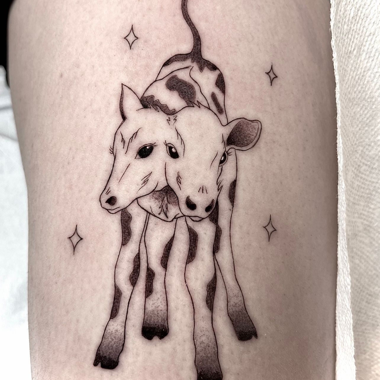 Two headed lamb details made with a single cosmetic tattooing needle Was  really happy with how those fine lines held up during healing  Instagram