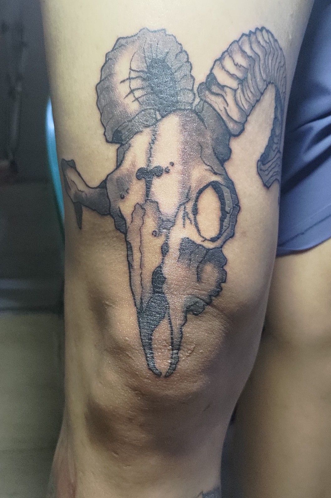 Zodiac Tattoo Series - Aries
