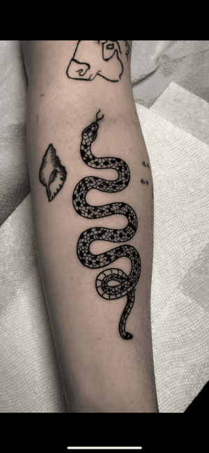 Snake 