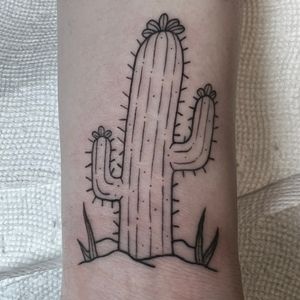 Fine line cactus 