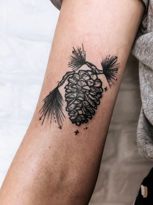 Pine Cone Tattoo
