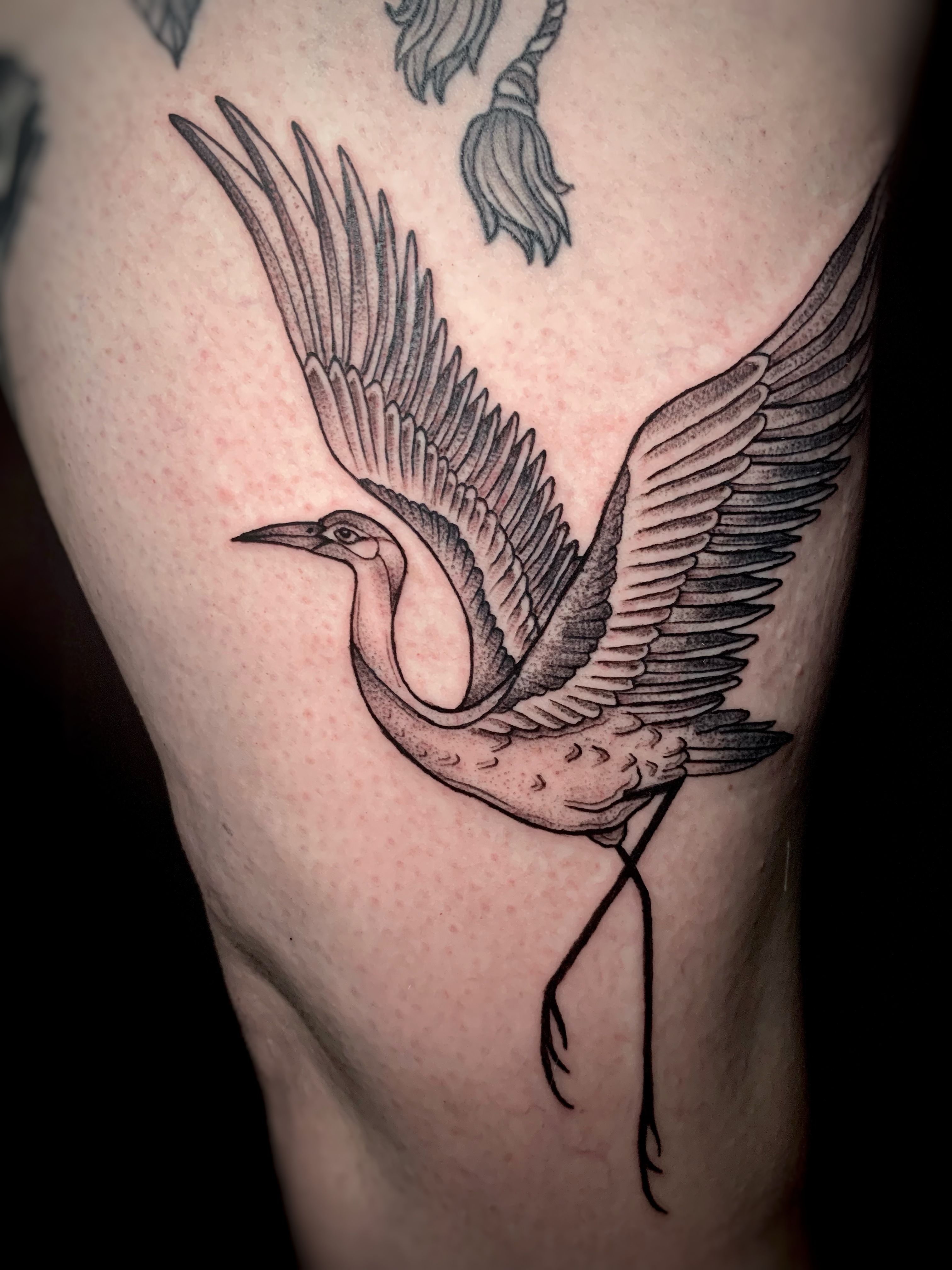 crane #tattoos #tattooed #tattooistartmag #tattooequilattera  #thebesttattooartists #watercolortattoo #tattooartmagazine… | Crane tattoo,  Back tattoo women, Tattoos
