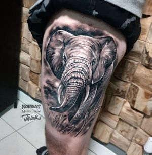 Black & Grey elephant tattoo#Blackandgreytattoo