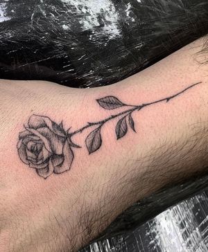 Little free hand Rose by H.Sayar
