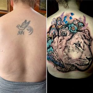 Lioness Back Coverup