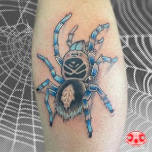 Vibrant new school spider design on lower leg by tattoo artist Galen Bryce, AKA Drip Skull. Bold and eye-catching!