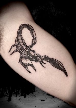 Victor Martin's black and gray design brings out the fierce beauty of the scorpion motif on the upper arm.