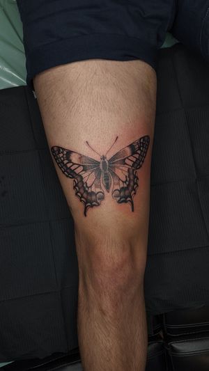 Adorn your upper leg with a stunning black and gray butterfly tattoo by the talented artist Luca Salzano. Embrace grace and beauty.