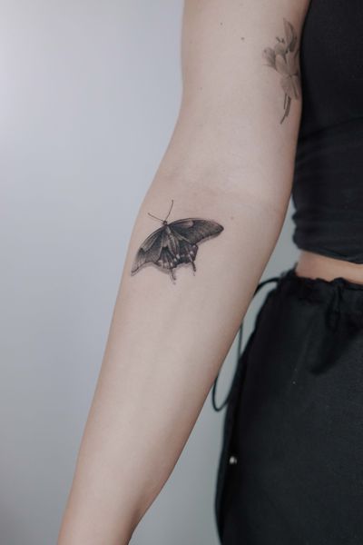 Butterfly tattoo