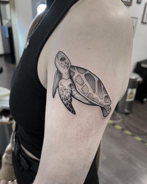 Elegant black and gray turtle design on upper arm, expertly done by artist Federico Colantoni.