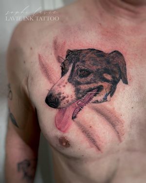 Color Realism Dog portrait tattoo