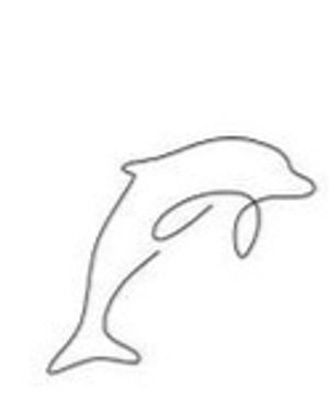 dolphin tattoo idea