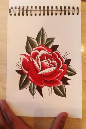 Rosa tradicional 