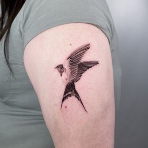 Elegant black and gray swallow tattoo on the arm, expertly done by Martin Rosenberg.