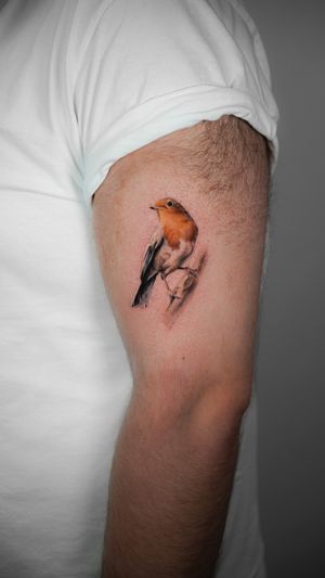 Get a stunning micro realistic robin tattoo by the talented artist Viola. Capture the beauty of nature on your skin.