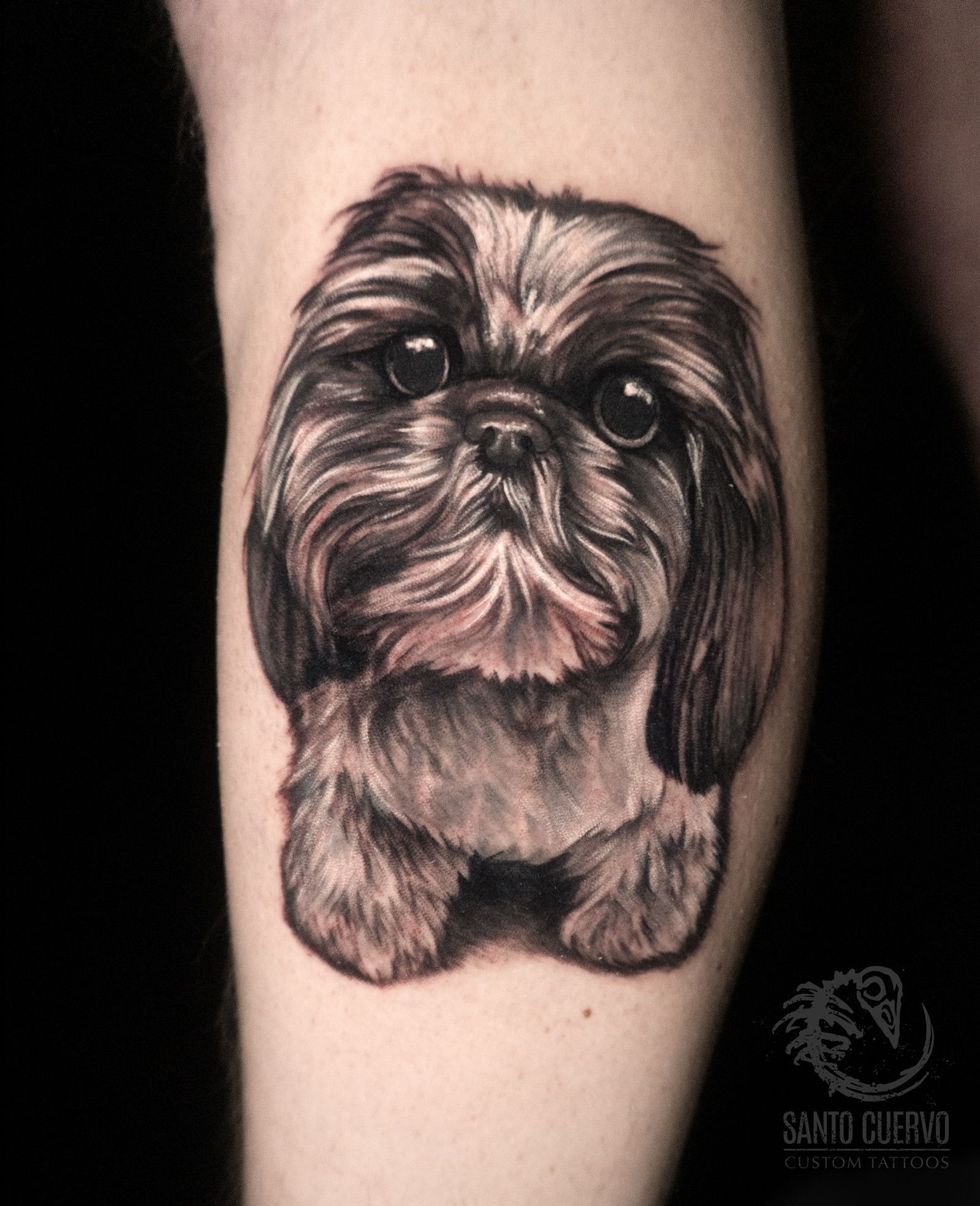 🐶 Sky 🦴 #tattoo #petportrait #pettattoo #shihtzu #switso #dog #dogpo... |  TikTok