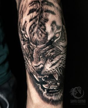 Realistic black and grey tiger
