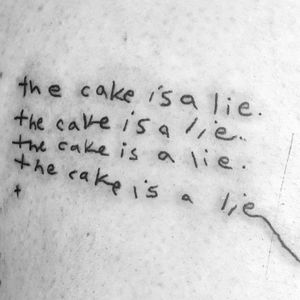 🎂 the cake is a lie 🎂