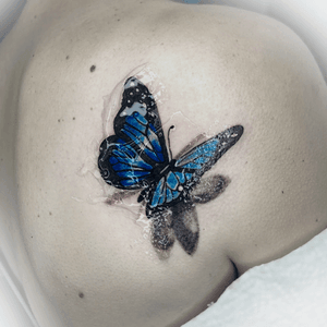 Realistic butterfly