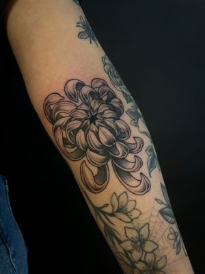 Get a stunning illustrative chrysanthemum tattoo in dotwork style by Kat Jennings. Unique and intricate design for a timeless look.