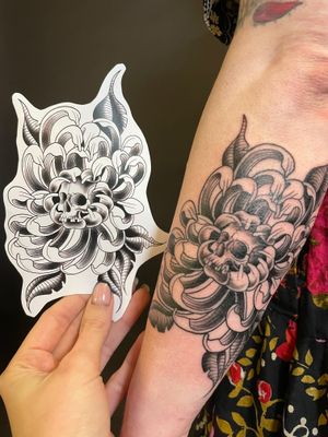 Get a stunning illustrative tattoo featuring a chrysanthemum intertwined with a skull, expertly crafted by renowned artist Kat Jennings.