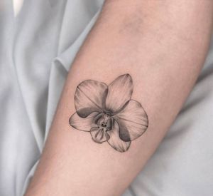 Looking for an artist that can do a tattoo similar to this example, but an orchid instead, with fine line work. 