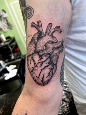 Anatomical Heart Tattoo, 
#linetattoo, #anatomicalheart , #hearttattoo, #finelinetattoo, #blackworktattoo, #finelinetattooartist, #claudiafedorovici