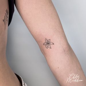Get a stunning fine line tattoo of a delicate lily design by Chloe Mickham, perfect for those who appreciate dainty floral motifs.