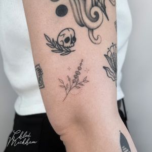 Graceful fine line tattoo featuring a beautiful flower sprig design by talented artist Chloe Mickham.