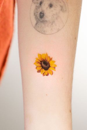 Get a stunning sunflower tattoo done by the talented Viola, capturing every intricate detail with micro realism style.
