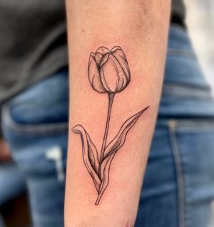 Tulip Tattoo, Amsterdam Tattoo
#finelinetattoo, #floraltattoo, #tuliptattoo, #amsterdamtattoo, #claudiafedorovici, #amsterdamtattooartist 