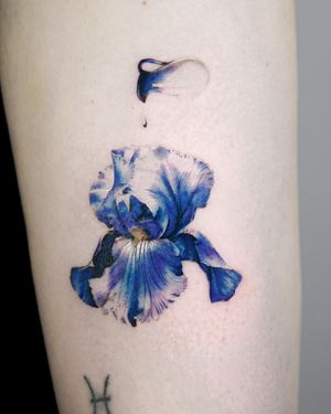 Experience the beauty of a watercolor orchid in stunning micro-realism by Viola. Delicate and vibrant, this tattoo is sure to captivate.