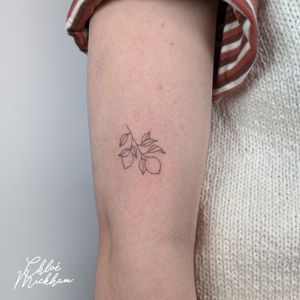 Capture the beauty of a lemon in fine line illustrative style with this stunning tattoo by Chloe Mickham.