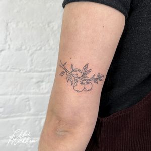 Get a stunning illustrative apple tattoo with fine line details by the talented artist Chloe Mickham. This single line fruit design is a unique and elegant choice for your next tattoo.