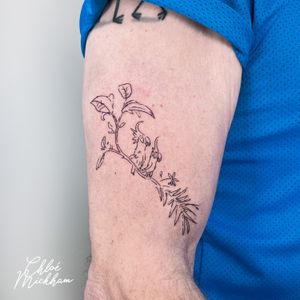 Get inked with a stunning illustrative cockatoo perched on a branch, expertly done in fine line style by Chloe Mickham.