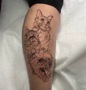 Elegant lower leg tattoo featuring a fine line design of a dog and two cats, by Ermis Atzemoglou.