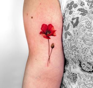 Tattoo by SANS PATRIE/ S