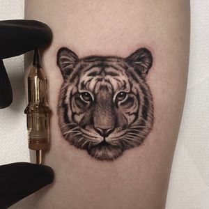 Tiger Tattoo by Jaris Ink
https://jarisink.com/