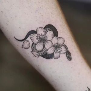 Elegant black and gray design by Nikki Bostin, featuring a snake intertwined with a delicate flower motif. Perfect for bold statement on your forearm.