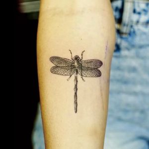 Experience the delicate beauty of micro-realism with this stunning dragonfly tattoo by Nikki Bostin. Perfect for any forearm.