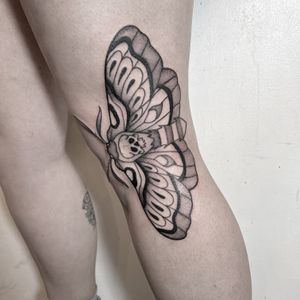 Elegant black and gray moth tattoo on knee by Federico Colantoni. Intricate fine line work for a unique and stunning design.