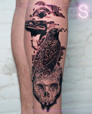 Starling and skull