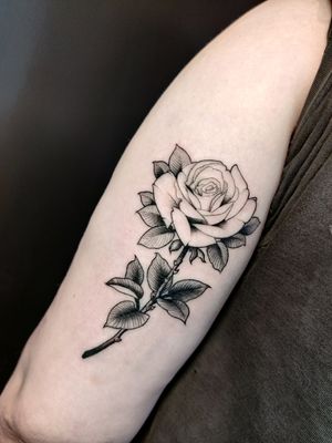Stunning blackwork flower tattoo by Mary Shalla that beautifully adorns the upper arm. A bold and stylish choice for body art.