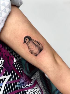 Capture the essence of the Antarctic with this stunning blackwork realism tattoo of a penguin by Miss Vampira.