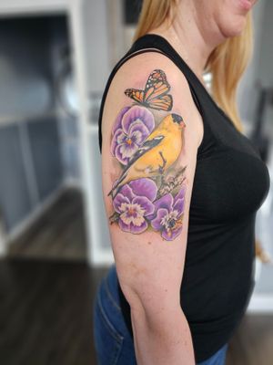 Golden finch butterfly bee and pansies